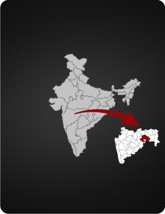 Constituency Data